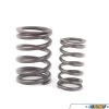 Motorsport Valve Springs - E30 M3, E24 M6, E34 M5, E36 Euro M3 (Priced Per Valve)
