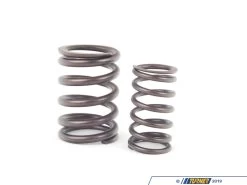 Motorsport Valve Springs - E30 M3, E24 M6, E34 M5, E36 Euro M3 (Priced Per Valve)